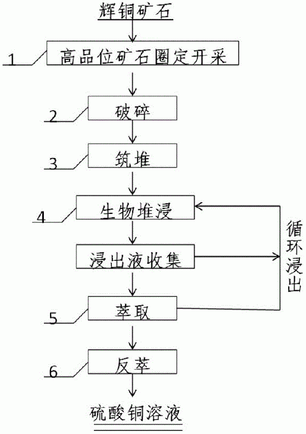 強(qiáng)化提取高品位輝銅礦中銅的方法與流程