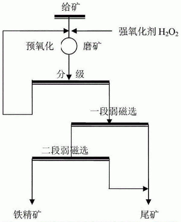 高硫磁鐵礦精礦的氧化脫硫方法與流程