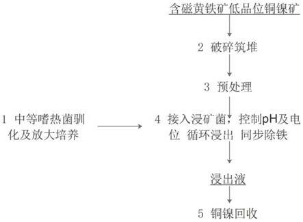 含磁黃鐵礦低品位銅鎳礦微生物浸出與除鐵聯(lián)合堆浸方法與流程