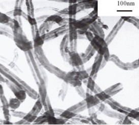 羥基石墨化碳納米管