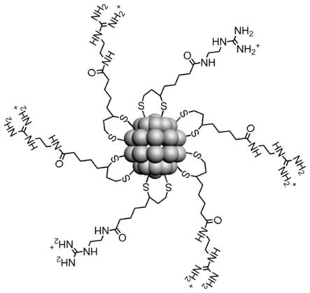 一種正電性金納米簇及其制備方法與應(yīng)用