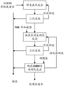 吡蚜酮有機(jī)氮廢水的處理方法及裝置