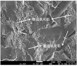 具有粗晶-細(xì)晶復(fù)合顯微結(jié)構(gòu)特征的氧化鋁陶瓷及其應(yīng)用