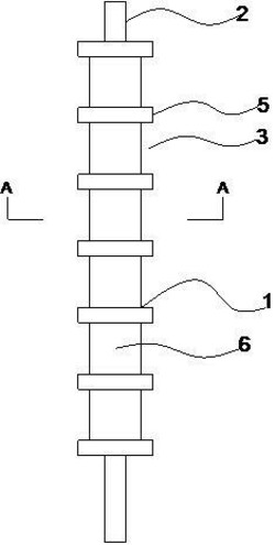 輥式振動(dòng)篩、篩分組件以及振動(dòng)篩分輥