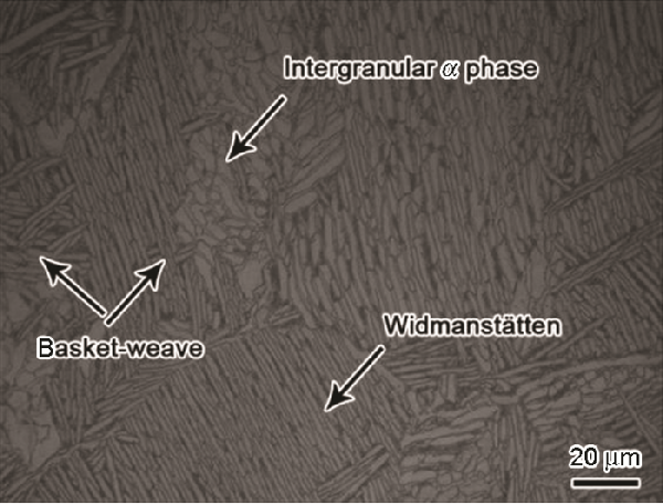 Ti-62A合金動(dòng)態(tài)軟化速率異常的熱力學(xué)解釋及其應(yīng)變補(bǔ)償本構(gòu)方程