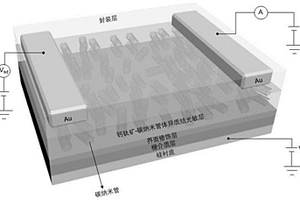 基于鈣鈦礦-碳納米管體異質(zhì)結(jié)的寬譜光電探測器