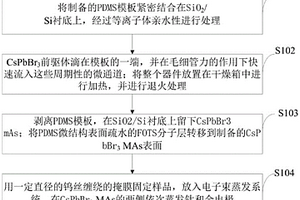 微米線陣列高性能鈣鈦礦型光電探測(cè)器、制備方法及應(yīng)用