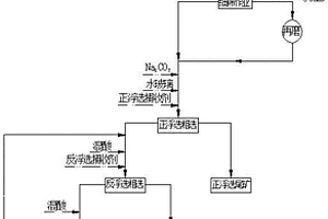 低品級(jí)硅鈣質(zhì)膠磷礦的細(xì)篩再磨混合浮選方法