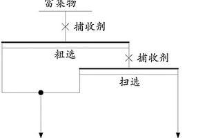 實現(xiàn)鋯石和黃玉分離的浮選捕收劑及其應(yīng)用