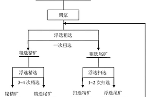 從選鉬尾礦中回收鉍的選礦方法