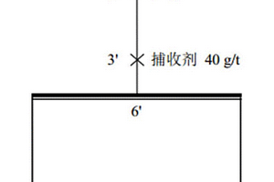 用于礦物浮選的雙子星座表面活性劑