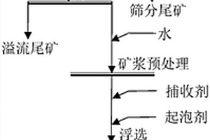 滑石伴生型天然粉石英的提純方法和粉石英