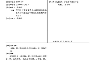 礦石磨料礦漿混合裝置