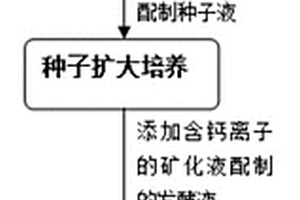 針對三軟回采巷道圍巖加固的注漿方法