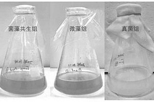 改性聚丙烯纖維增強的耐腐蝕型鋼筋混凝土排水管及其制備方法