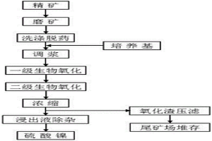 浮選硫化鎳精礦生物氧化攪拌浸鎳工藝