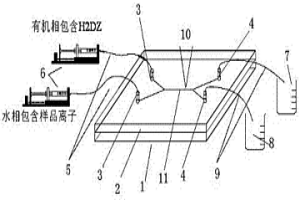 能直接顯示結(jié)果的微流體快速萃取裝置