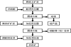 通過聯(lián)合浸出工藝從紅土鎳礦中回收鎳、鈷、鐵和硅的方法