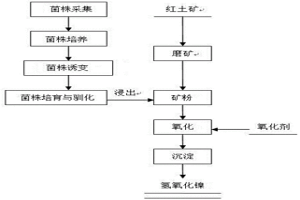 利用微生物提取紅土礦中金屬鎳的方法