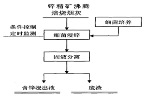 用細(xì)菌浸出鋅精礦沸騰焙燒煙灰中鋅的方法