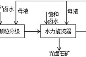 地表光鹵石礦生產(chǎn)KCl的方法