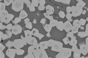 高強(qiáng)韌性Mo<sub>2</sub>FeB<sub>2</sub>基金屬陶瓷及其制備方法