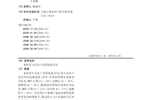 無(wú)硅浸入式水口及其制造方法