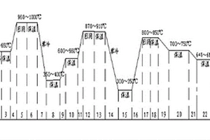 大規(guī)格Cr5冷軋輥的鍛后退火工藝