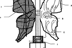 蝴蝶翼型風光能源復合型發(fā)電裝置及其用途
