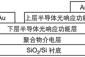 具有選擇性探測功能的自供電人造光電突觸及其制備方法