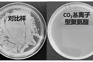 二氧化碳基離子型抗菌聚氨酯及其制備方法和應(yīng)用