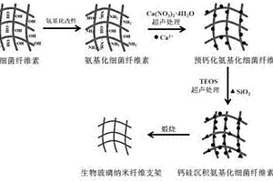 高生物活性玻璃納米纖維支架的制備方法