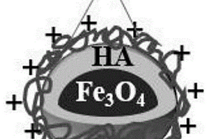 用于油水分離的Fe3O4/HA/CSMNPs及制備方法、應(yīng)用