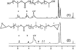 含有環(huán)氧基的低分子量二氧化碳-環(huán)氧化物共聚物及其制備方法