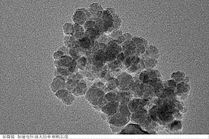 以微生物細胞分泌液為基質(zhì)制備生物兼容的四氧化三鐵納米顆粒的方法及其應(yīng)用