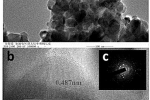 一步熱還原法制備C/Fe<sub>3</sub>O<sub>4</sub>磁性復合材料的方法