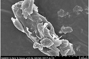 石墨烯量子點接枝偶氮衍生物復合材料及制備方法與應用