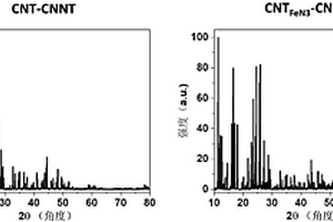 碳/碳氮(C<sub>x</sub>N<sub>y</sub>)復(fù)合納米管復(fù)合材料及其制備方法及應(yīng)用