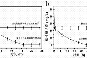 具有核殼結(jié)構(gòu)的磁性納米粒子微生物復合材料及其制備方法與在偶氮染料處理中的應用