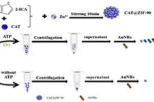 基于ZIF-90負載過氧化氫酶復合材料比色檢測ATP的方法