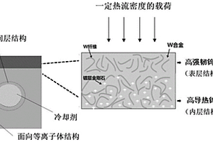 快速移能聚變堆偏濾器水冷鎢靶模塊及冷卻靶板結(jié)構(gòu)