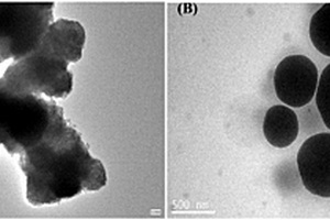 納米TiO<sub>2</sub>-g-PBA改性POM材料的制備方法