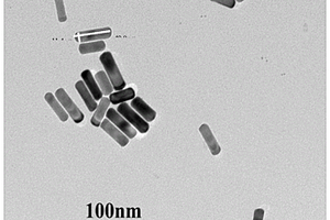 金鉑核殼型納米棒及制備方法及在制備AFB<Sub>1</Sub>電化學(xué)傳感器的應(yīng)用