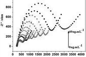 AFB<sub>1</sub>電化學(xué)免疫傳感器及其制備方法及其用于黃曲霉素B<sub>1</sub>的檢測