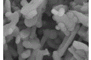 MOF衍生多孔碳盒負(fù)載Co<Sub>3</Sub>V<Sub>2</Sub>O<Sub>8</Sub>復(fù)合負(fù)極材料及其制備方法和應(yīng)用