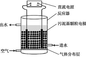 功能化污泥基碳三維顆粒電極的制備及其應(yīng)用