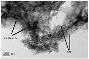 非晶態(tài)二氧化錳修飾蝦殼碳基架的制備方法及應(yīng)用