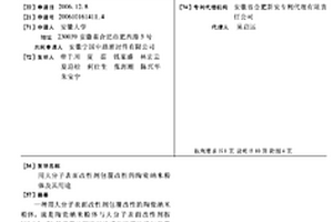 用大分子表面改性劑包覆改性的陶瓷納米粉體及其用途