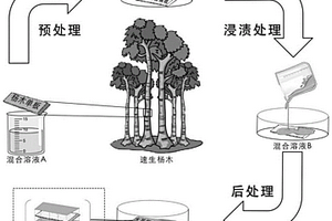 可生物降解的柔性疏水楊木單板制備方法