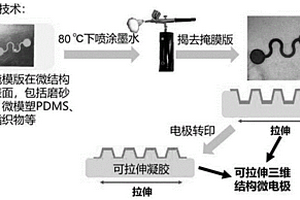 可拉伸的電化學(xué)三維微電極及其在生物分子檢測(cè)方面的應(yīng)用